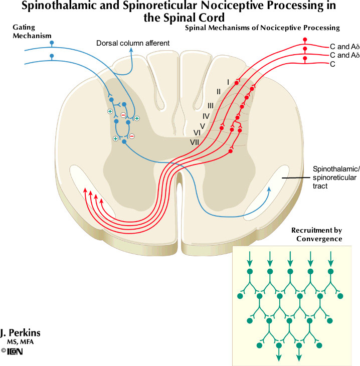 %_tempFileNameFigureIII.5_l%