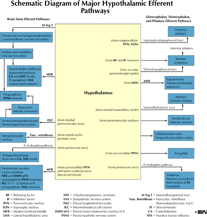 %_tempFileNameFigureIII.60_l%