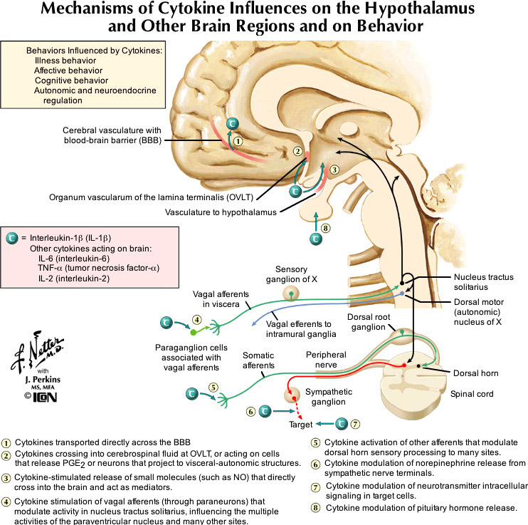 %_tempFileNameFigureIII.63_l%