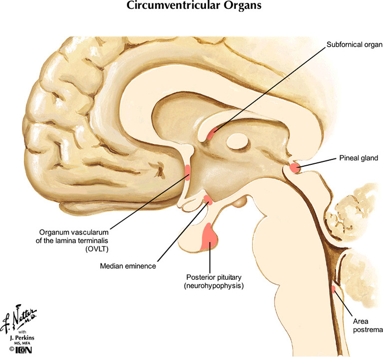 %_tempFileNameFigureIII.64_l%