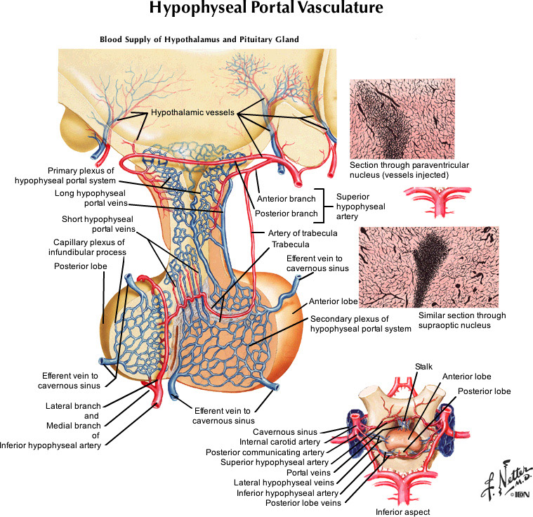 %_tempFileNameFigureIII.65_l%