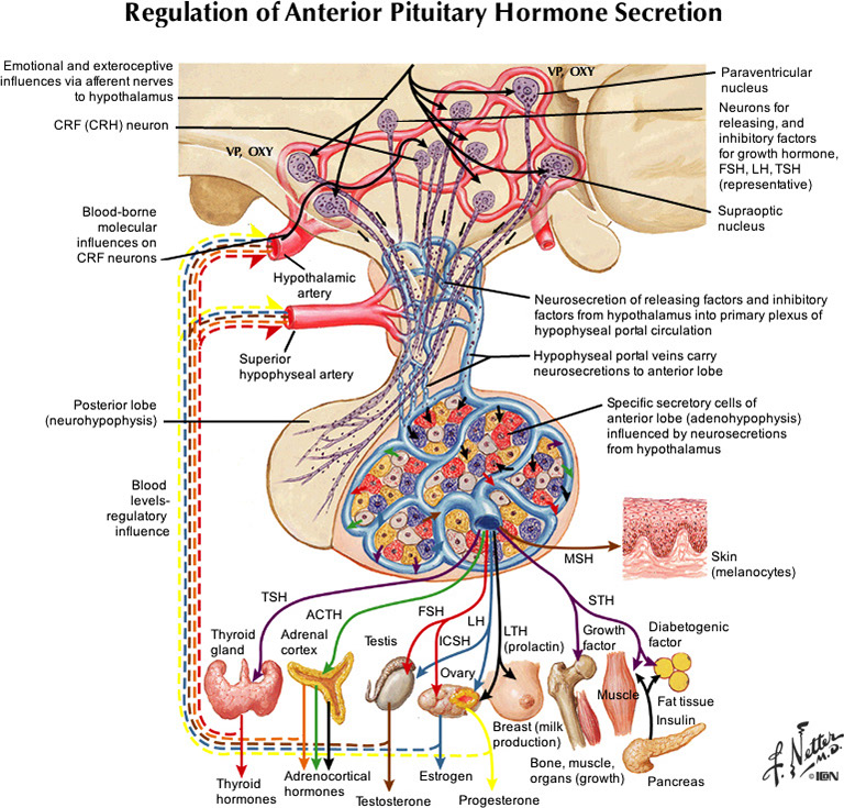 %_tempFileNameFigureIII.66_l%