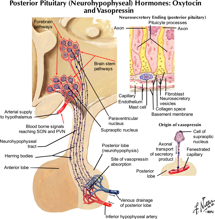 %_tempFileNameFigureIII.67_l%