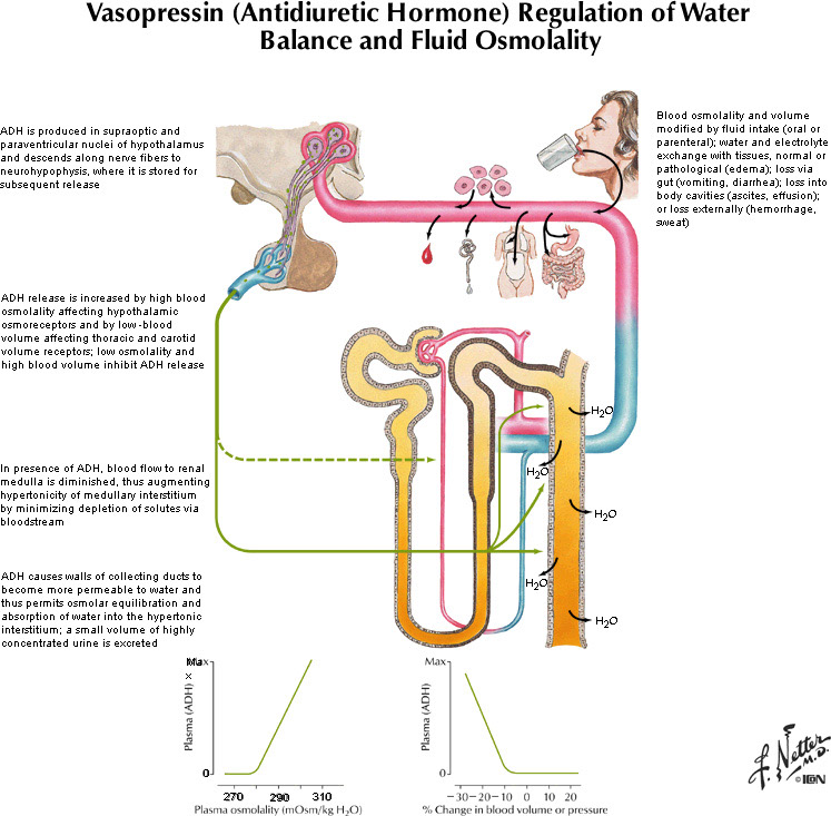 %_tempFileNameFigureIII.68_l%
