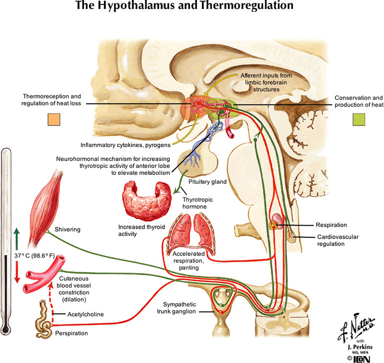%_tempFileNameFigureIII.69_l%