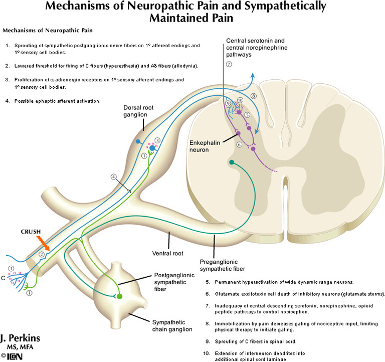 %_tempFileNameFigureIII.6_l%