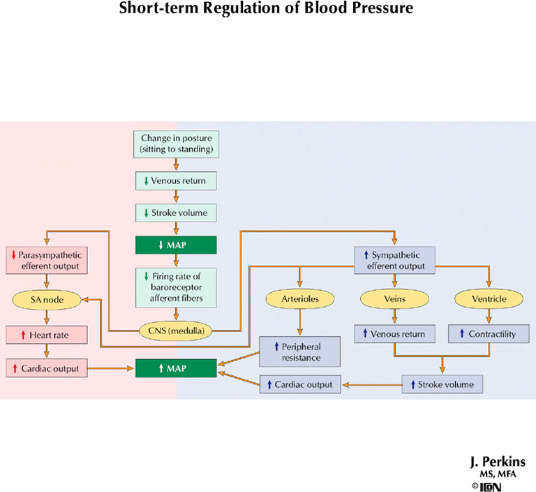 %_tempFileNameFigureIII.70B_l%