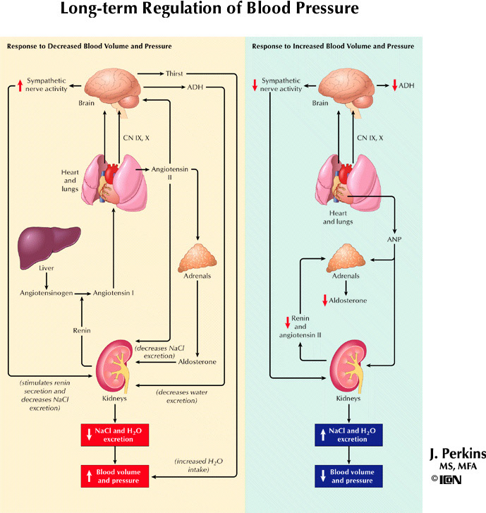 %_tempFileNameFigureIII.71_l%