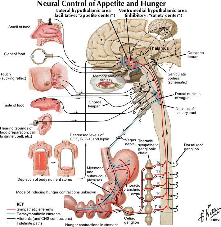 %_tempFileNameFigureIII.72_l%