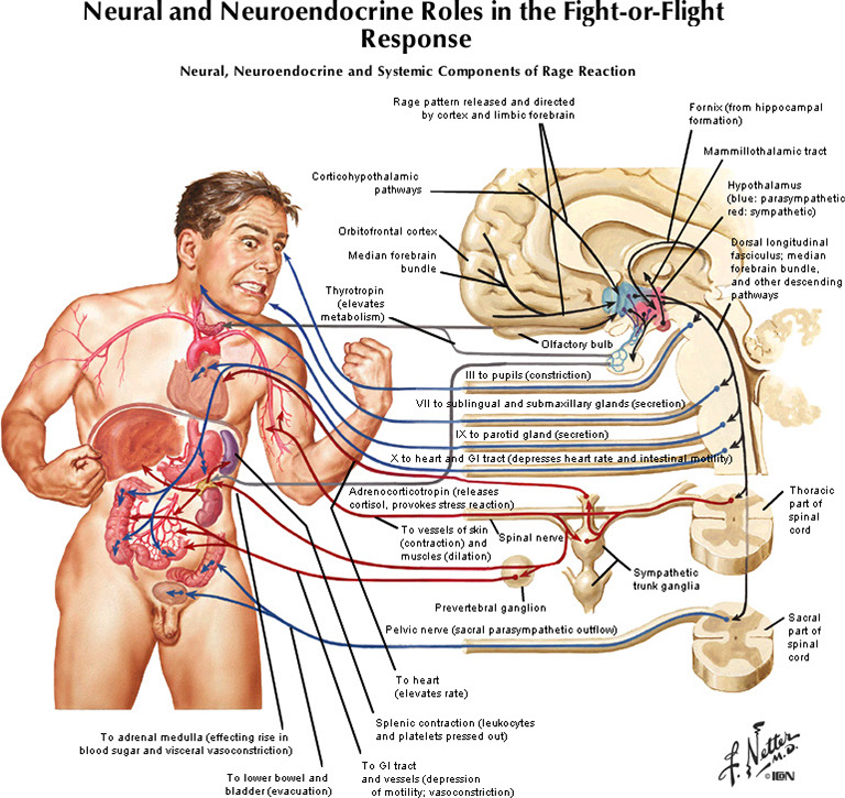 %_tempFileNameFigureIII.73_l%