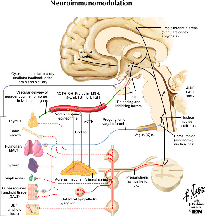 %_tempFileNameFigureIII.74_l%
