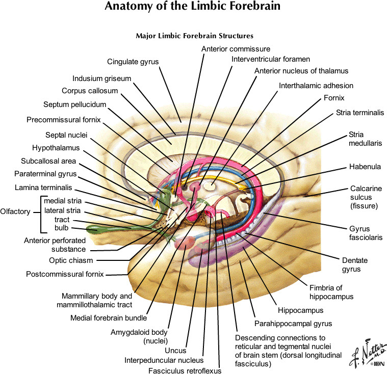 %_tempFileNameFigureIII.75_l%