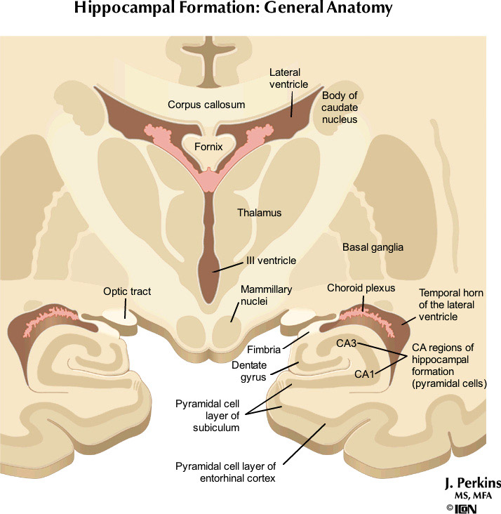 %_tempFileNameFigureIII.76_l%
