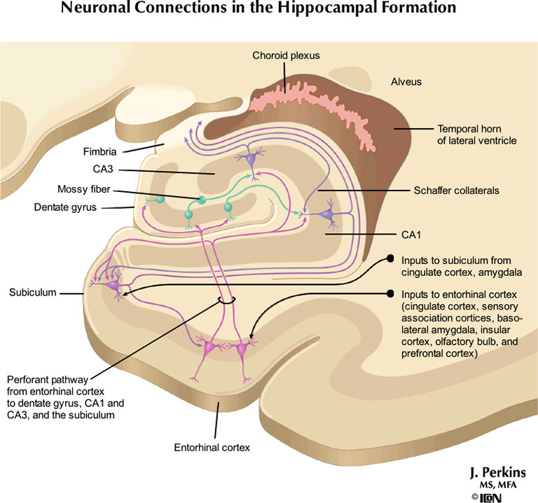 %_tempFileNameFigureIII.77_l%