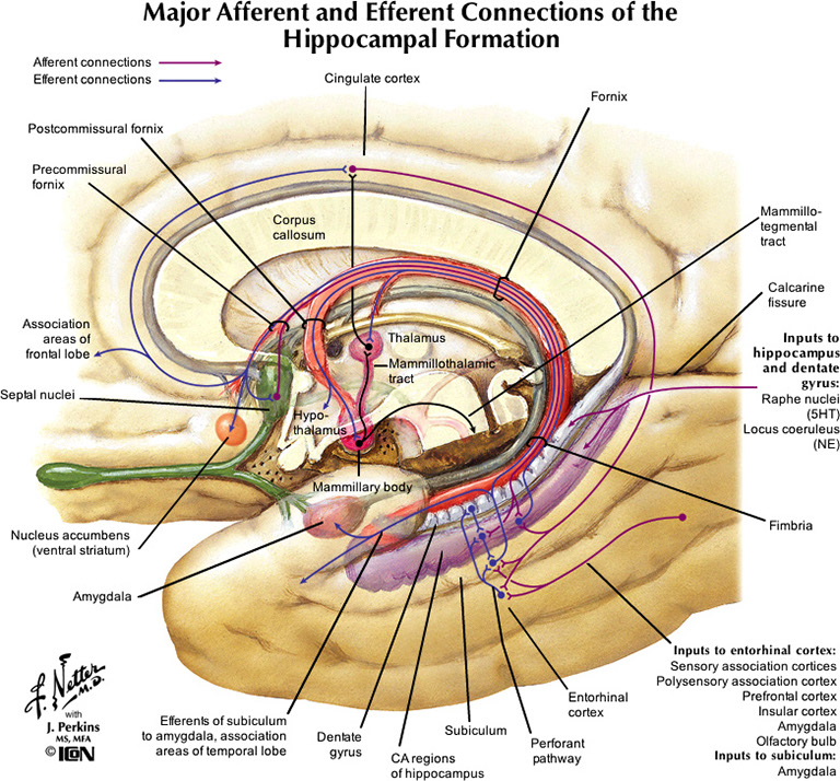 %_tempFileNameFigureIII.78_l%