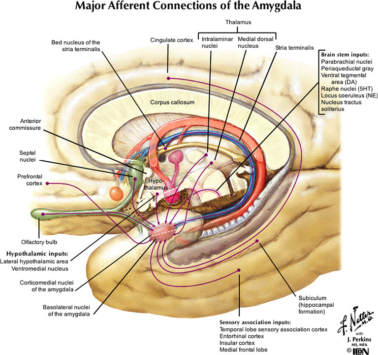 %_tempFileNameFigureIII.79_l%
