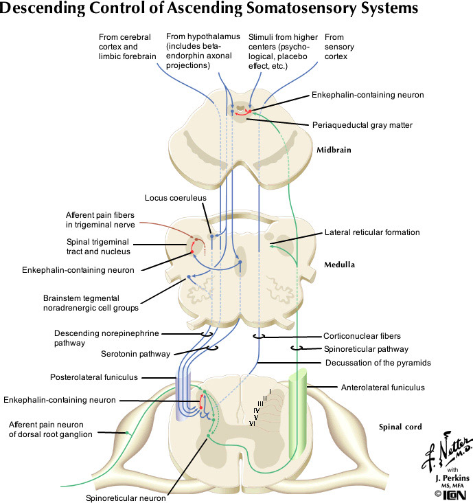 %_tempFileNameFigureIII.7_l%