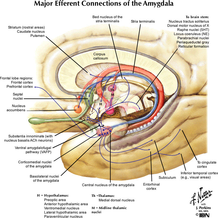 %_tempFileNameFigureIII.80_l%