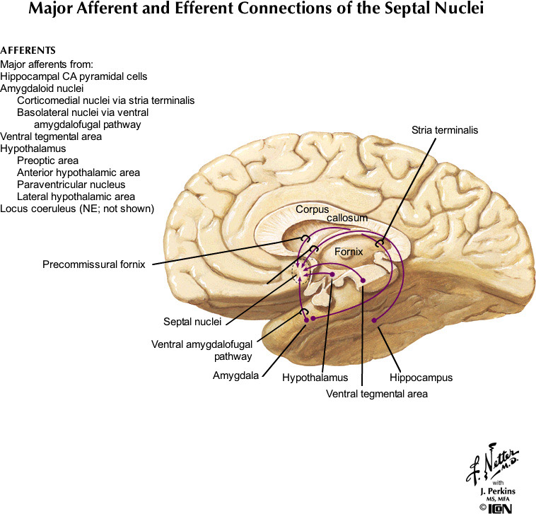 %_tempFileNameFigureIII.82A_l%