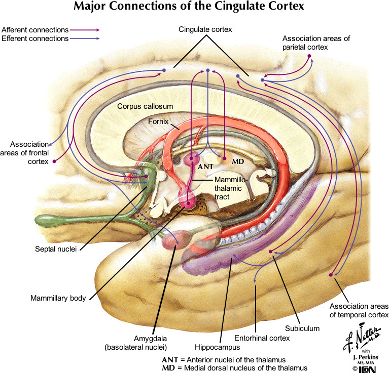 %_tempFileNameFigureIII.83_l%