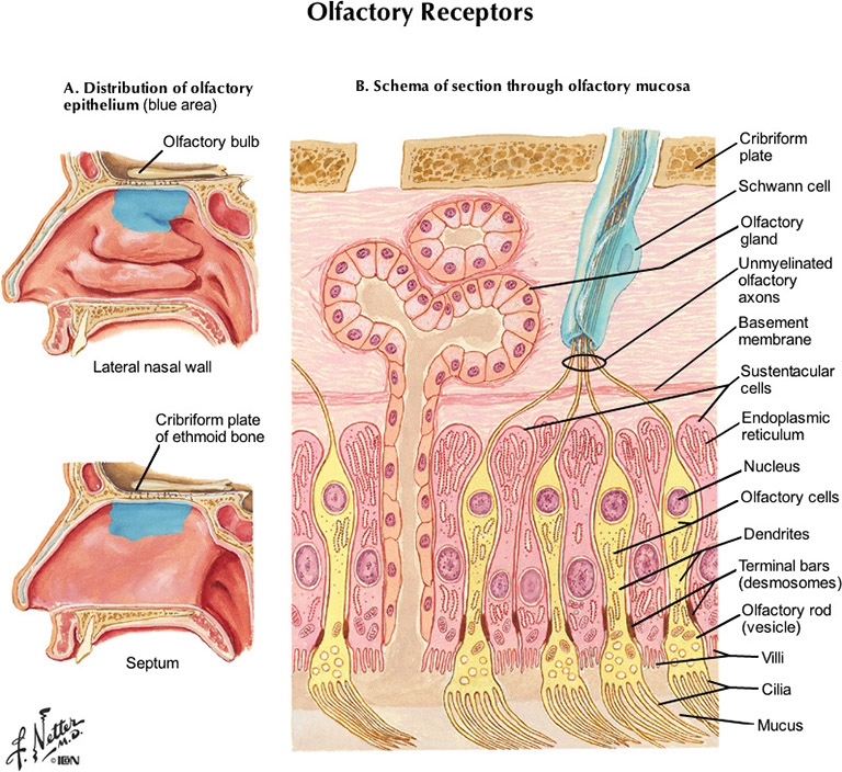 %_tempFileNameFigureIII.84_l%