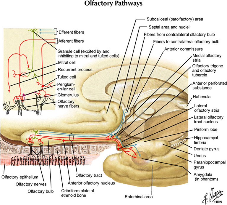 %_tempFileNameFigureIII.85_l%