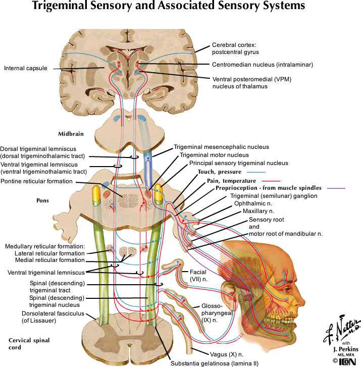 %_tempFileNameFigureIII.8_l%