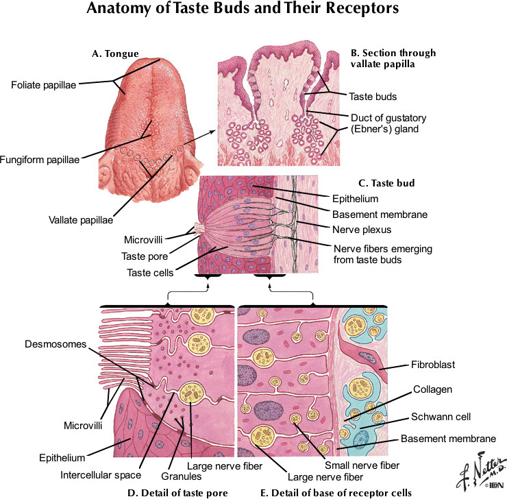 %_tempFileNameFigureIII.9_l%