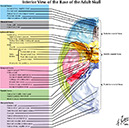 %_tempFileNameFigureI.17_l%