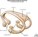 %_tempFileNameFigureI.31B_l%