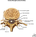 %_tempFileNameFigureI.39B_l%