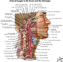 %_tempFileNameFigureI.46_l%