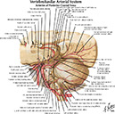 %_tempFileNameFigureI.55_l%