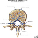 %_tempFileNameFigureI.66B_l%