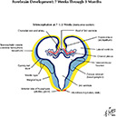 %_tempFileNameFigureI.75B_l%