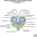 %_tempFileNameFigureI.75F_l%