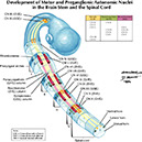 %_tempFileNameFigureI.79_l%