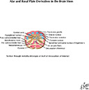 %_tempFileNameFigureI.80D_l%