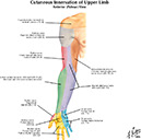 %_tempFileNameFigureII.19A_l%