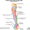 %_tempFileNameFigureII.19B_l%