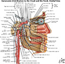 %_tempFileNameFigureII.37_l%