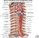 %_tempFileNameFigureII.42_l%