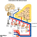 %_tempFileNameFigureII.51_l%