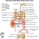 %_tempFileNameFigureII.53_l%