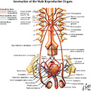 %_tempFileNameFigureII.55_l%