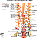 %_tempFileNameFigureII.56_l%