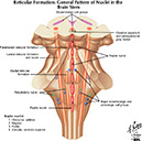 %_tempFileNameFigureII.76_l%