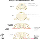 %_tempFileNameFigureIII.36_l%