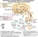 %_tempFileNameFigureIII.63_l%