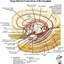 %_tempFileNameFigureIII.80_l%